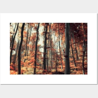 Fall in the woods Posters and Art